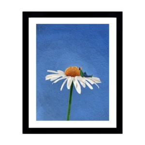 Daisy Dream Frame